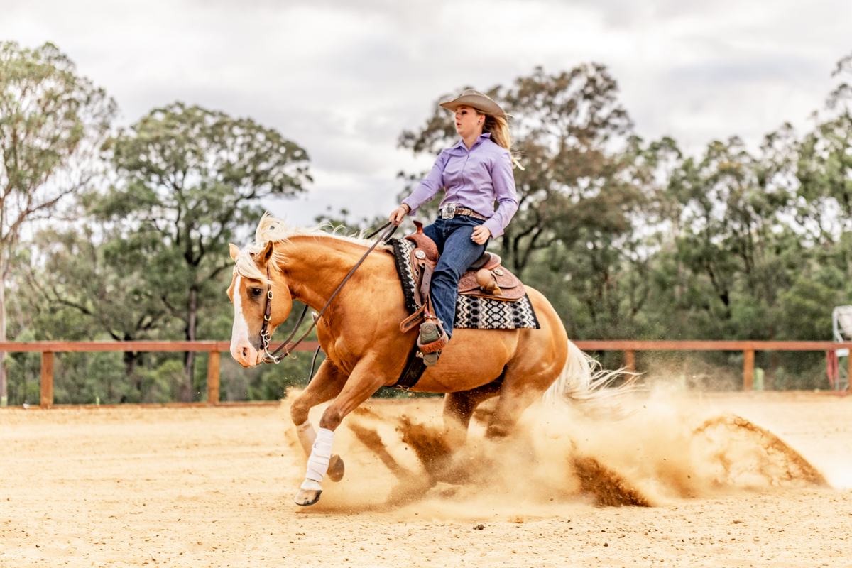 Palomino reining quarthorse Topsail Wimpy in a sliding stop