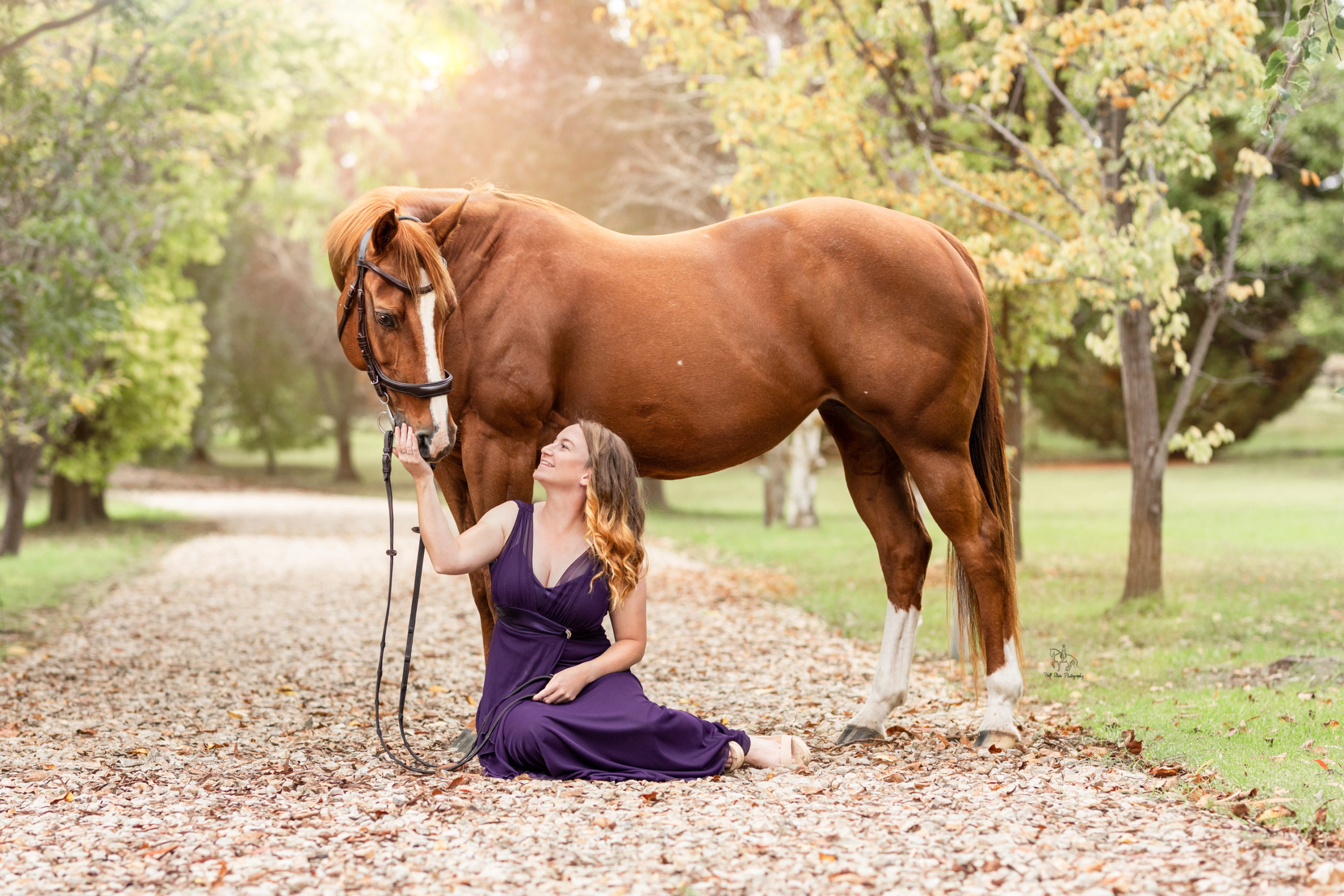 Girl touches horse in photoshoot