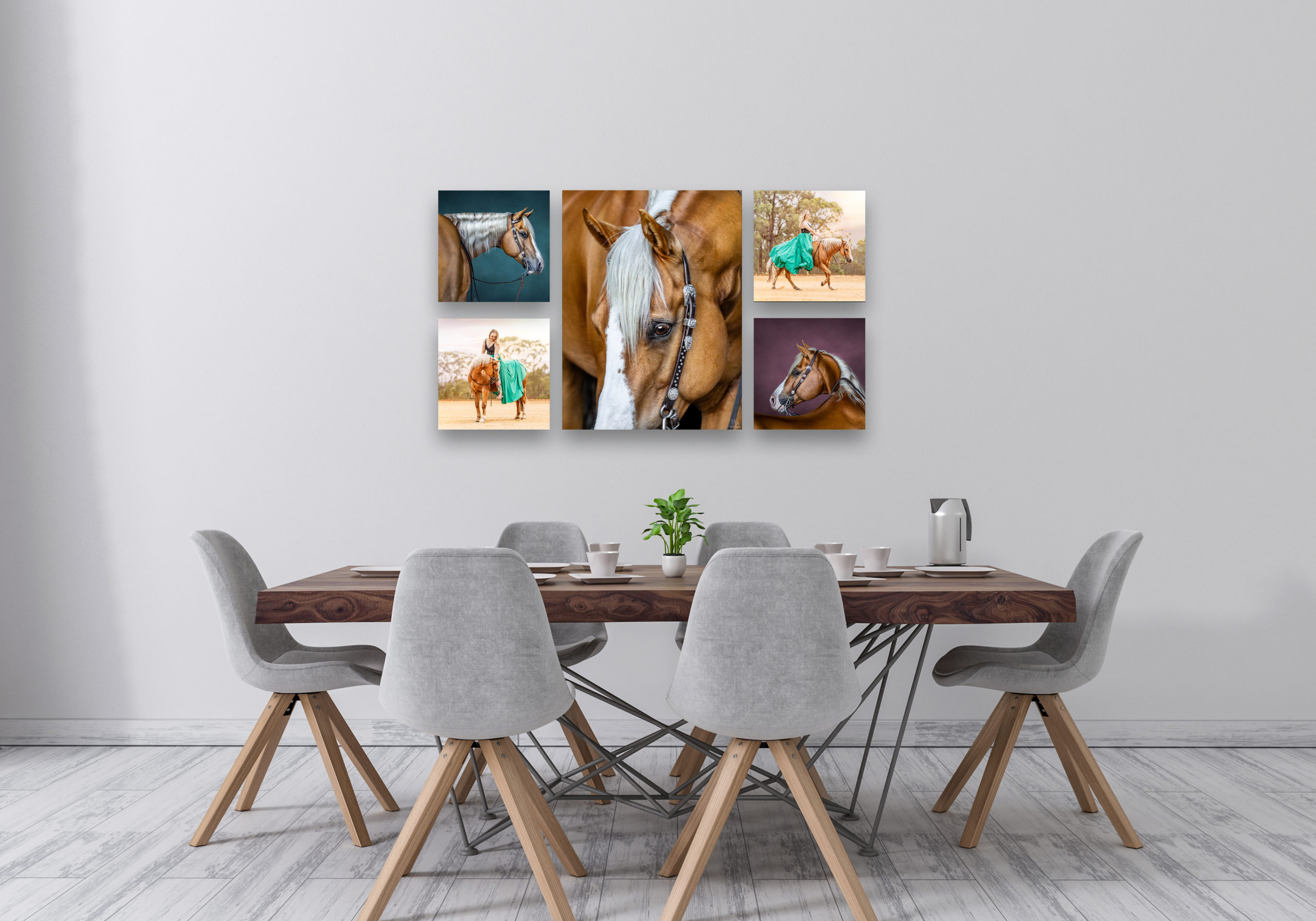 Equine Wall Art Gallery Collection in Dining Room